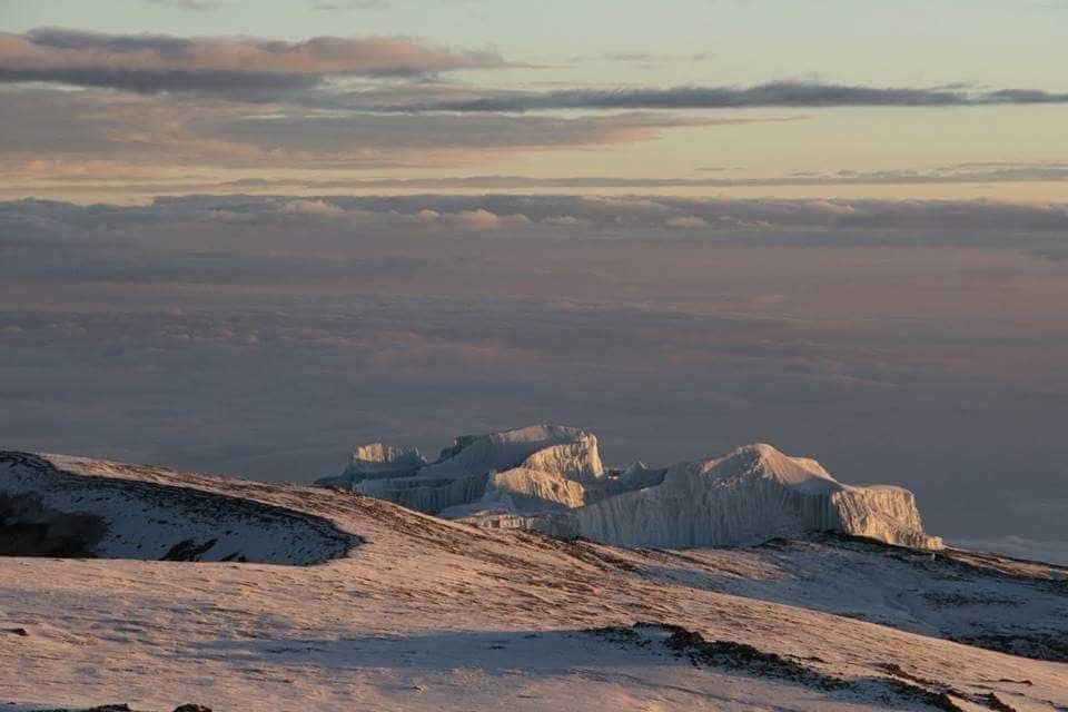 The glaciers of Kibo glowing at sunrise above a sea of cloud