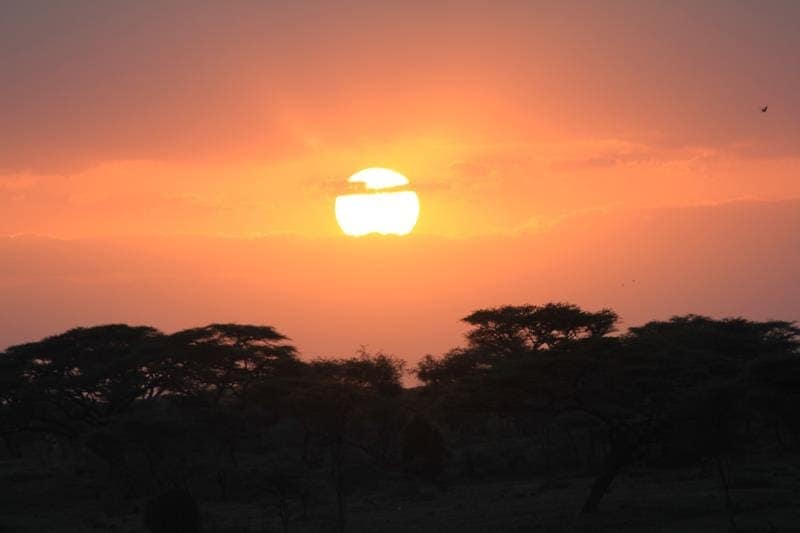 7-Day Safari + Zanzibar — photo 4