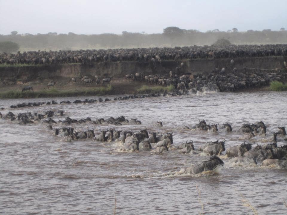 10-Day Kenya Safari