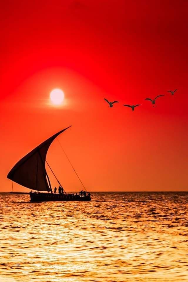 5-Day Zanzibar