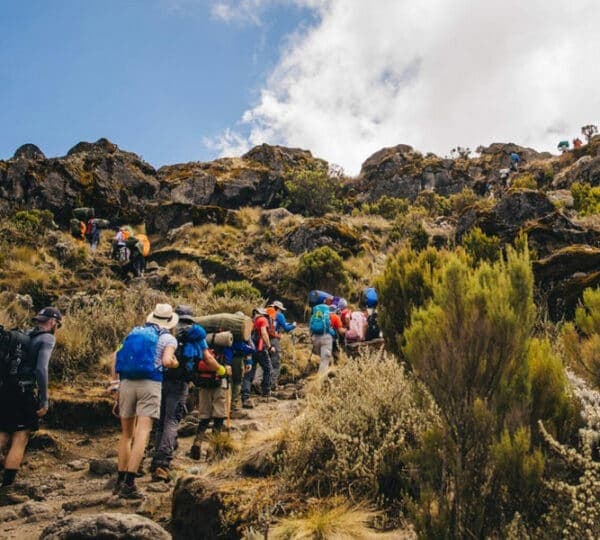6-Day Marangu