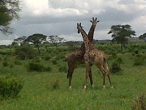 5-Day Mount Meru