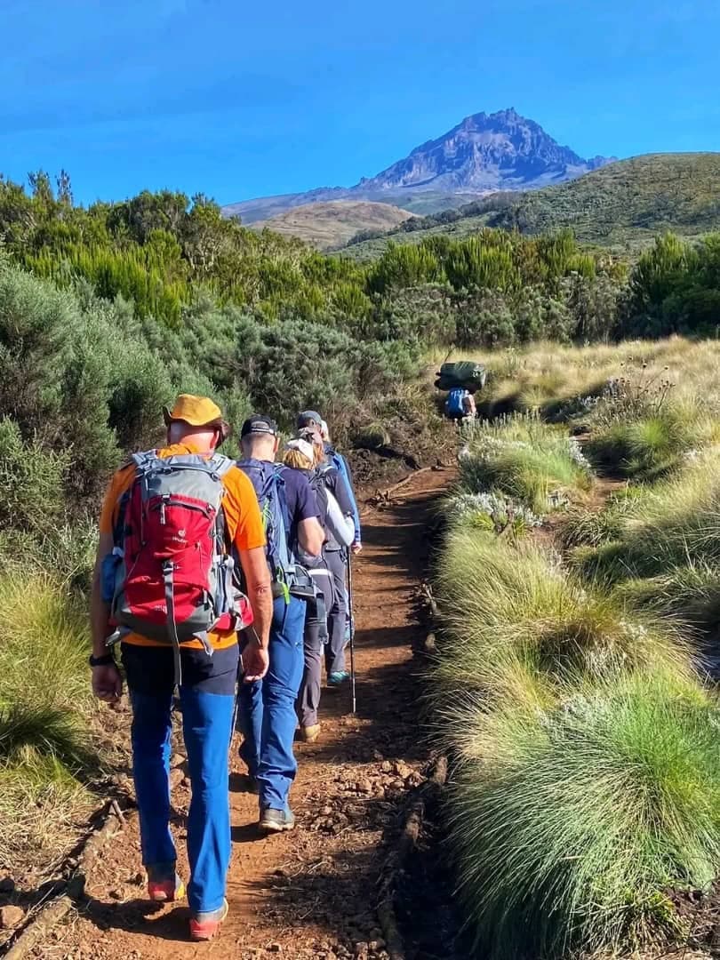 Hikers on a moorland trail on Kilimanjaro
