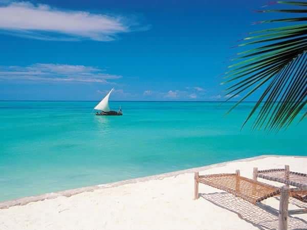Traditional dhow sailing off a turquoise Zanzibar beach
