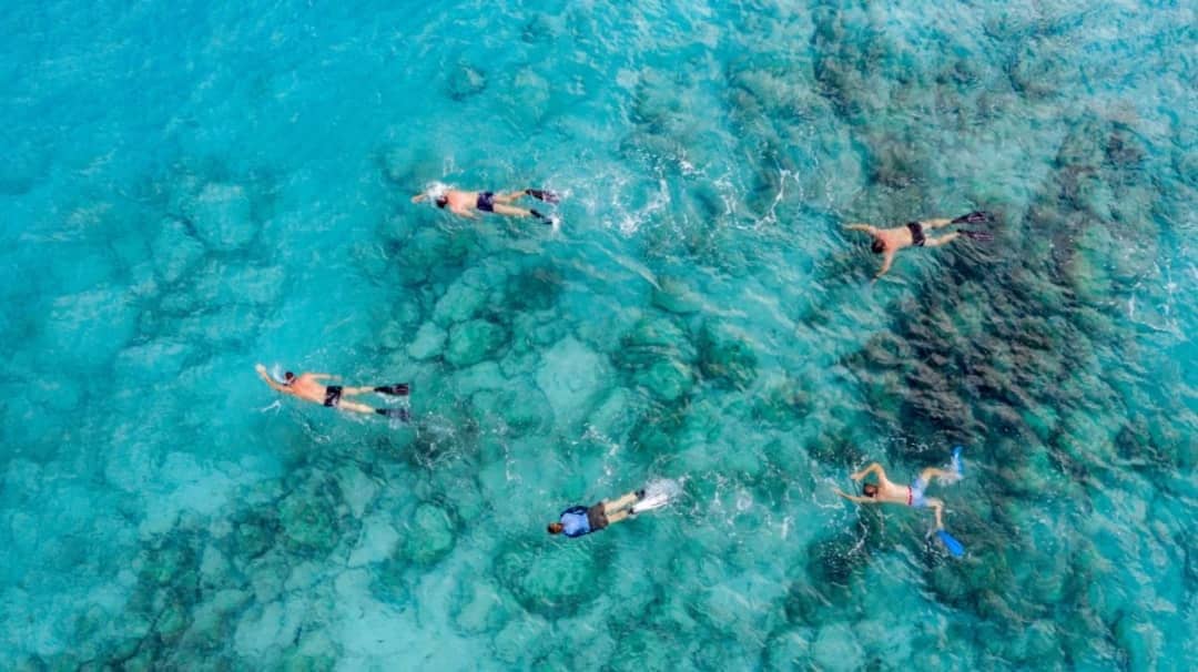 Aerial view of snorkellers over a turquoise coral reef